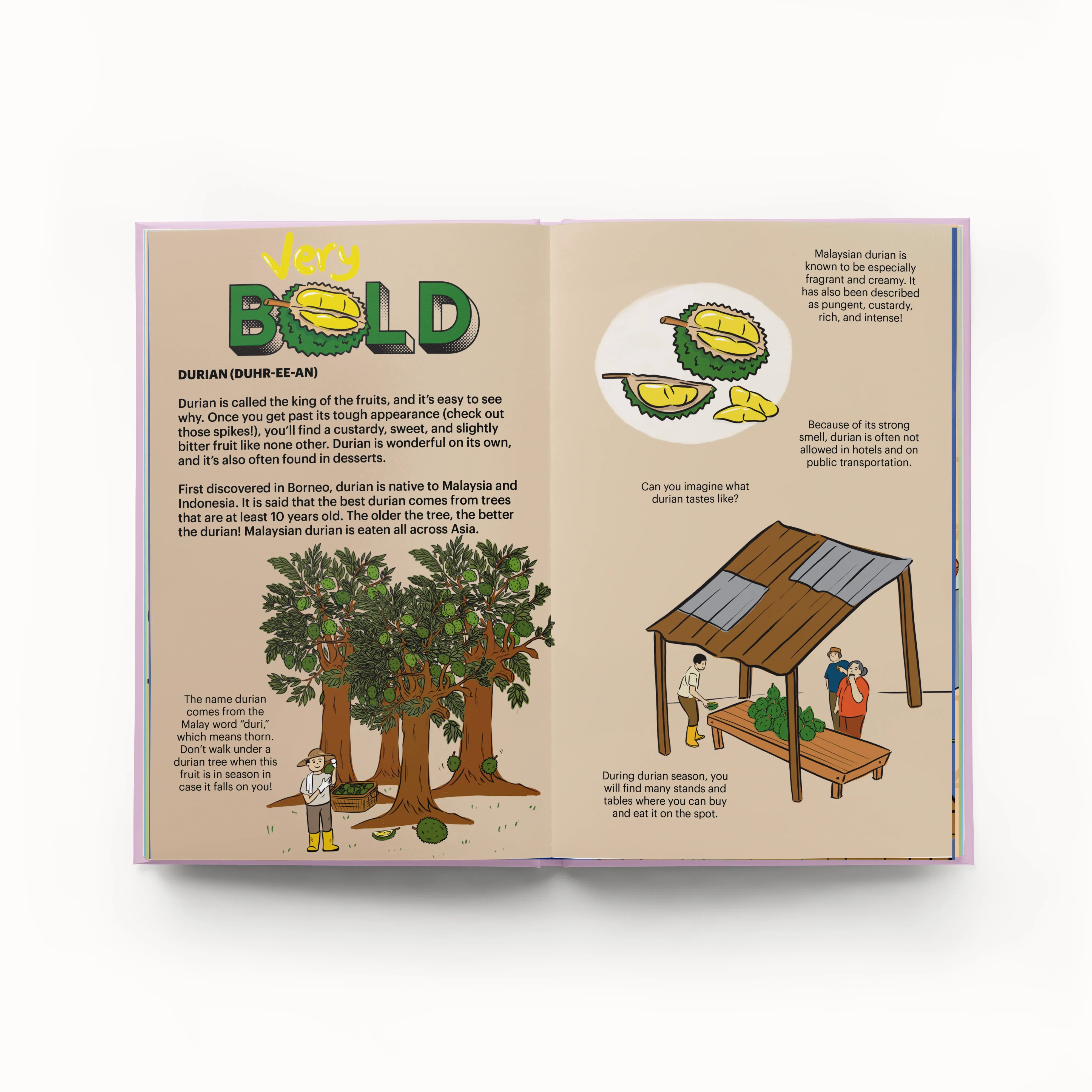 Gloo Books: A Very Asian Guide to Malaysian and Singaporean Food - Image 9